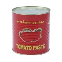 Dewdrop Tomato Paste 800g