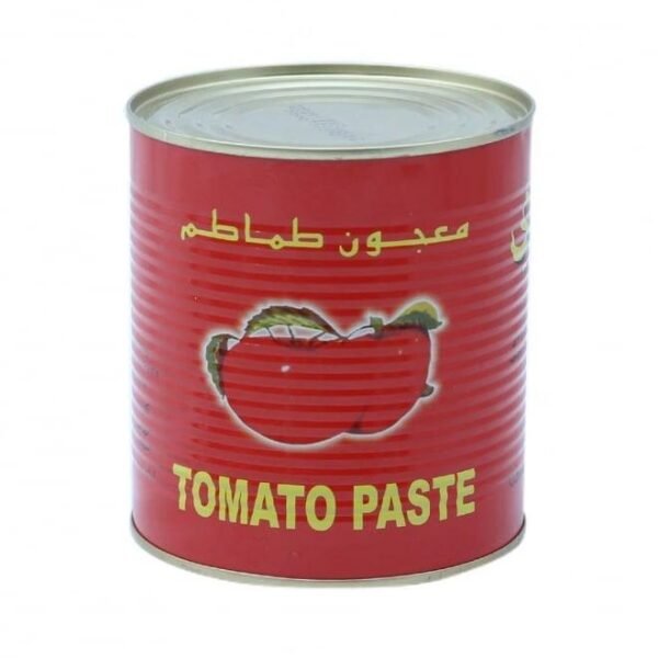 Dewdrop Tomato Paste 800g